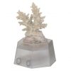 Aqua Medic Coral holder 2