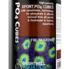 Brightwell Aquatics Xport PO4 Cubes - bacterial colonization for PHOSPHATES reduction (500ml) 3