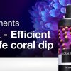 Red Sea DipX - effective dip for corals (12x100ml) 1