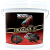 Ocean Nutrtion Clossus Q2 (Sinking) 3 kg 1