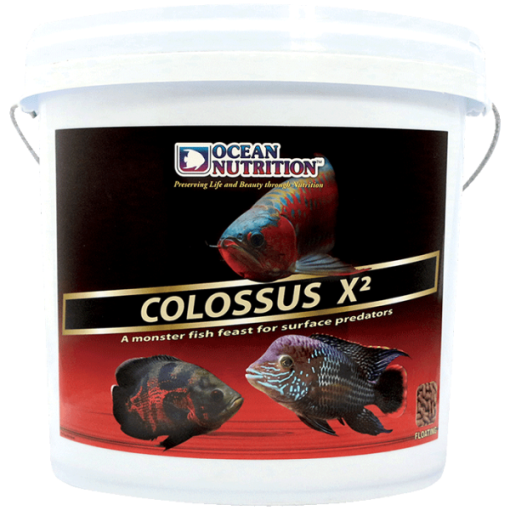 Ocean Nutrtion Clossus Q2 (Sinking) 3 kg 1